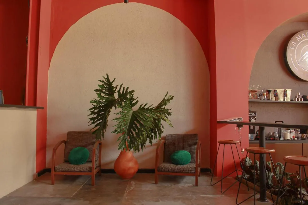 كالي La Sucursal Hostel (Adults Only)