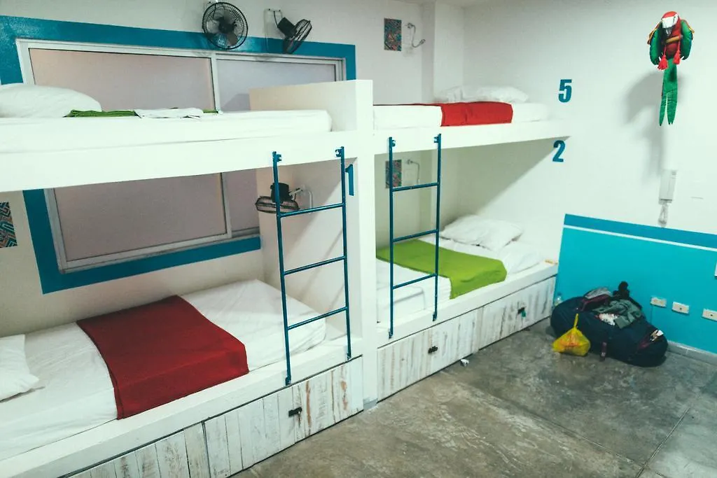 كالي La Sucursal Hostel (Adults Only)