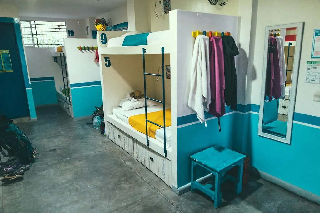 كالي La Sucursal Hostel (Adults Only) 0*,