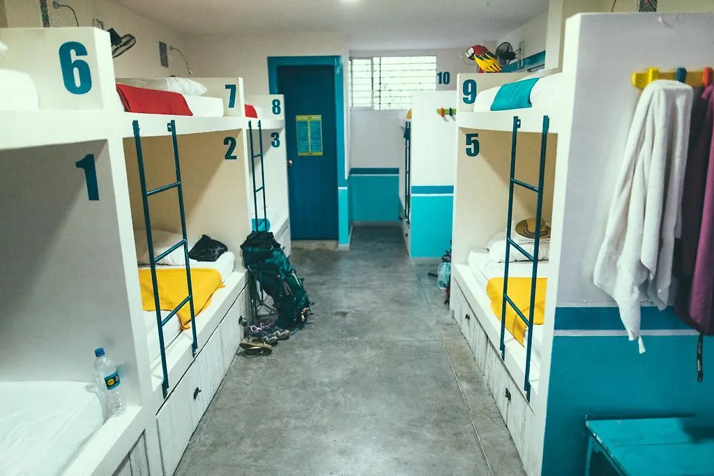 كالي La Sucursal Hostel (Adults Only)