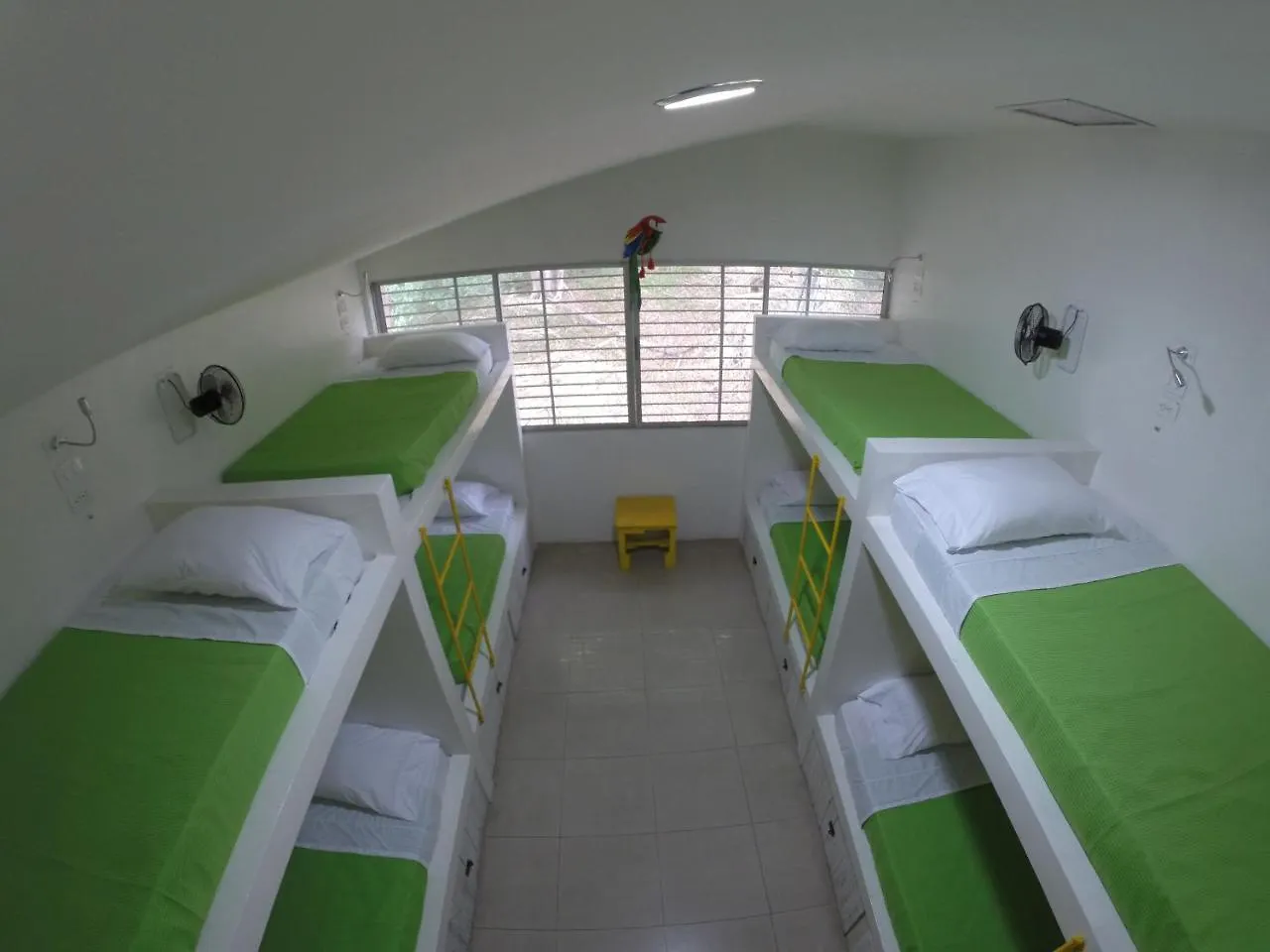 كالي La Sucursal Hostel (Adults Only)
